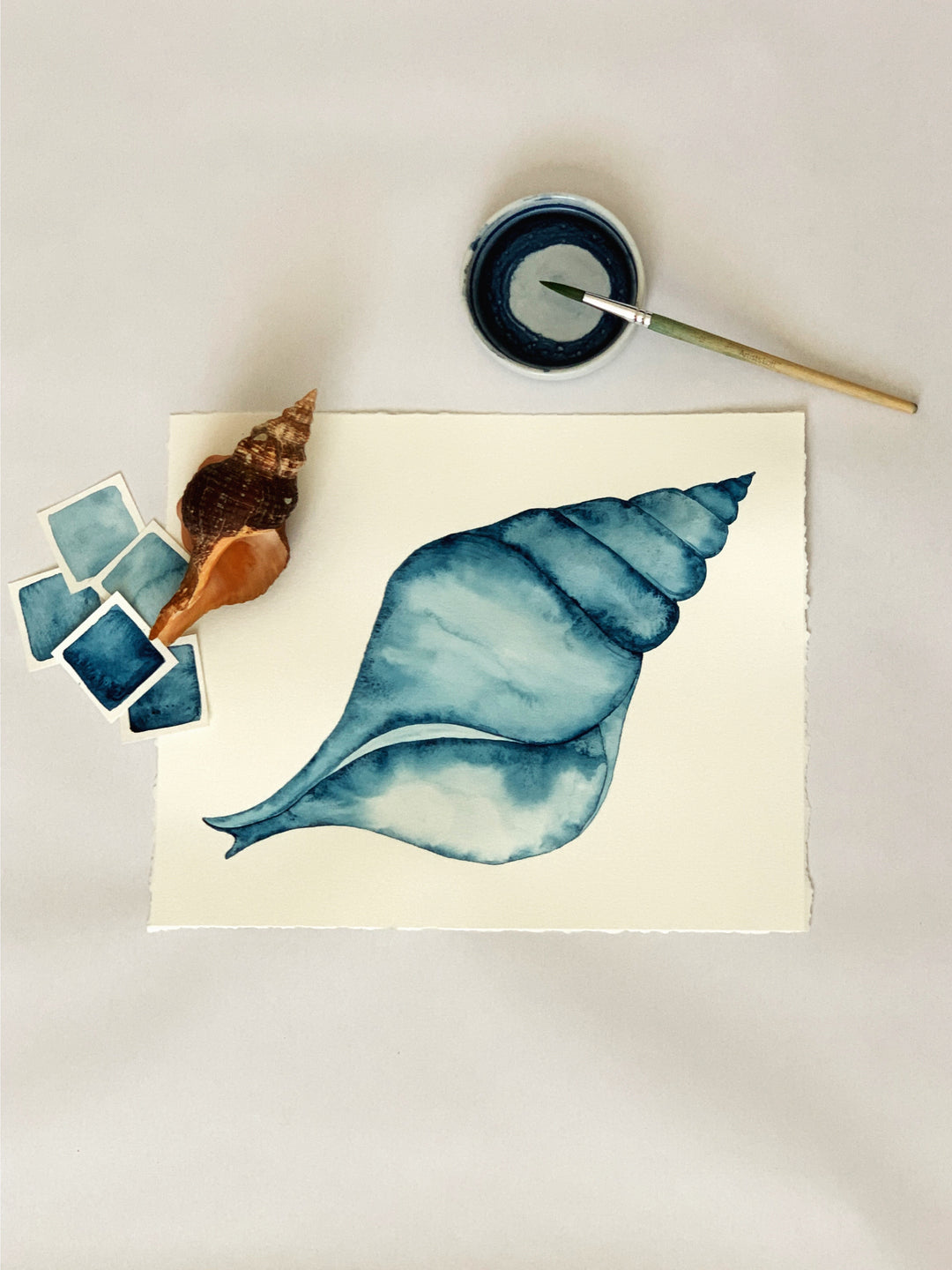Tulip Snail Shell Original
