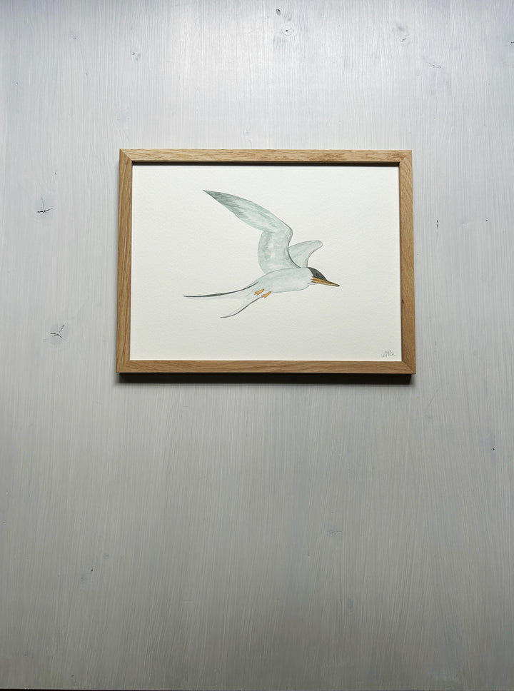 Tern Original Watercolor