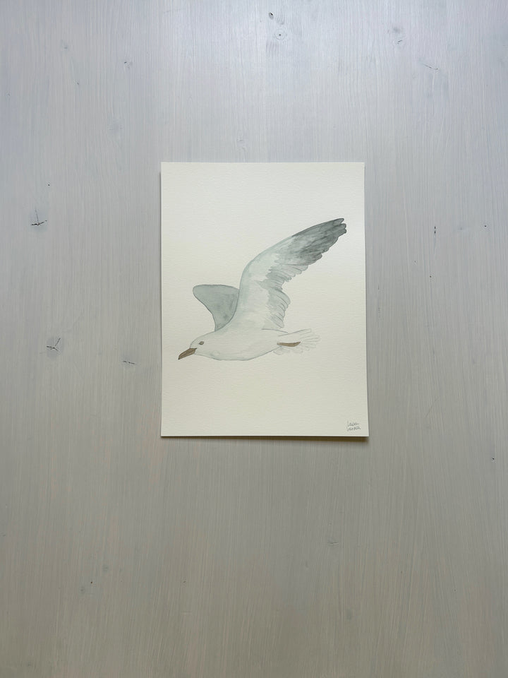 Seagull Original Watercolor