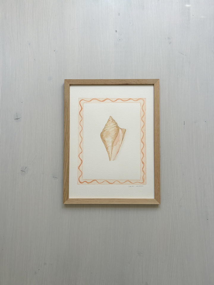 Peach Whelk Original Watercolor
