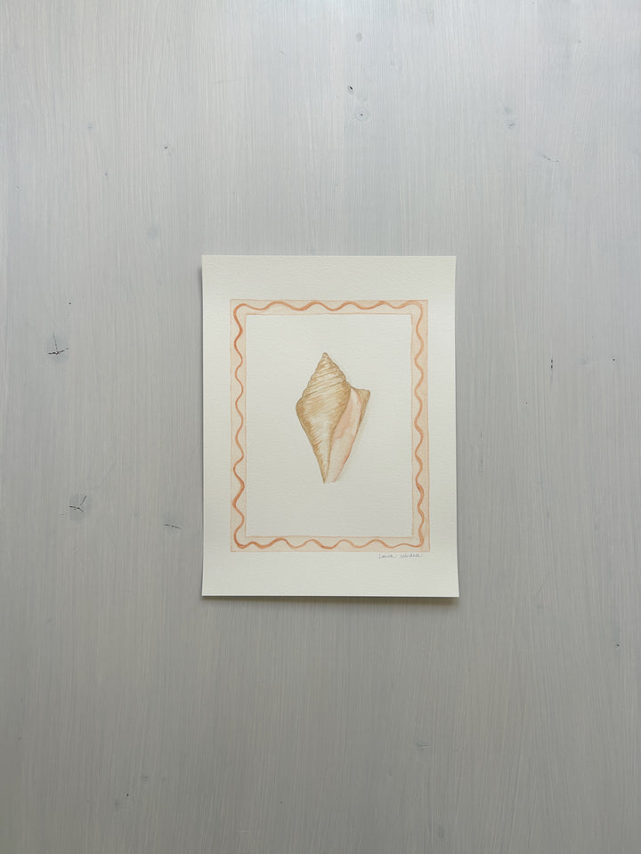 Peach Whelk Original Watercolor