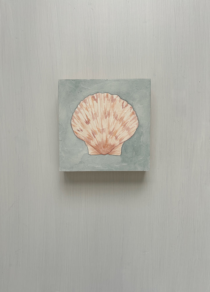 Scallop Shell No. 1 Original