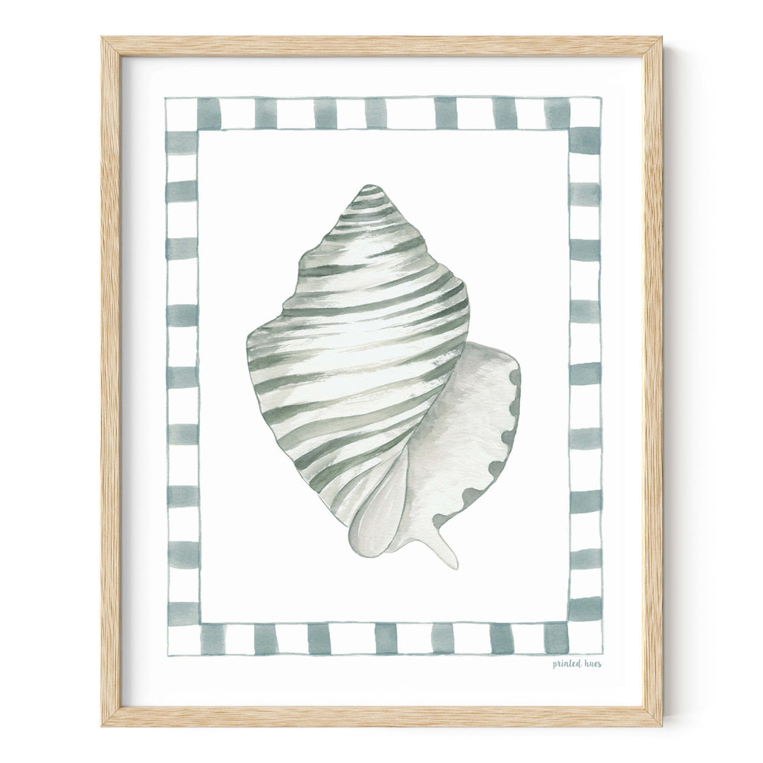 Conch Shell Print