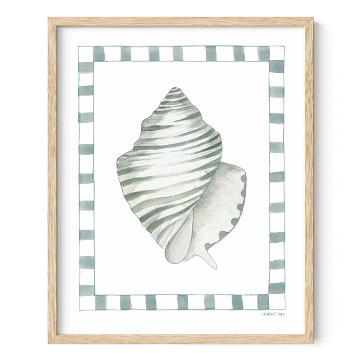 Conch Shell Print