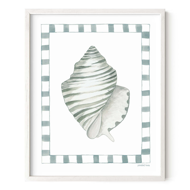 Conch Shell Print
