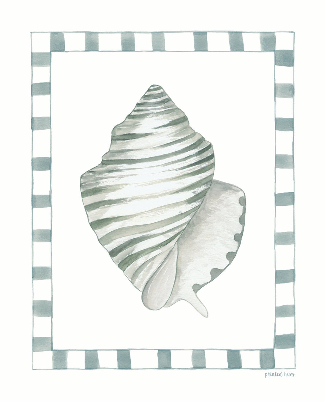 Conch Shell Print