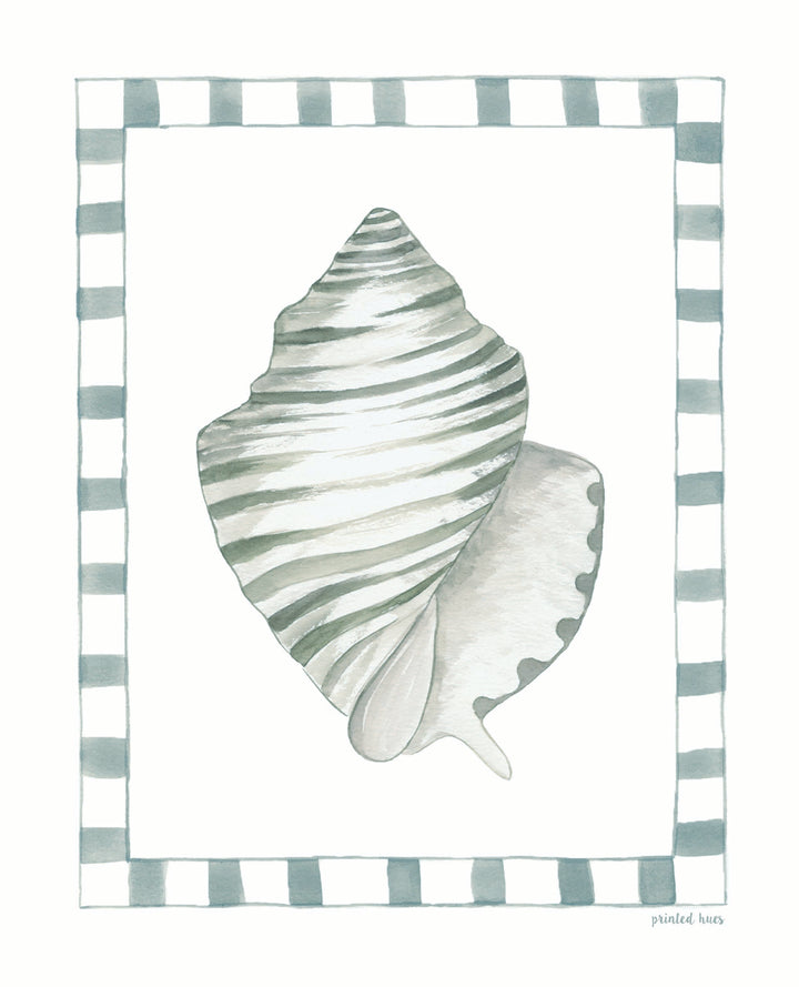 Conch Shell Print