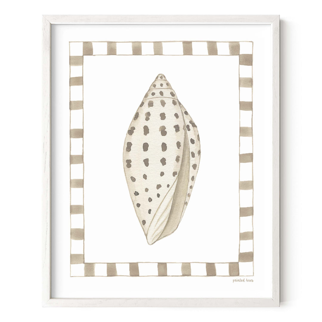 Junonia Shell Print