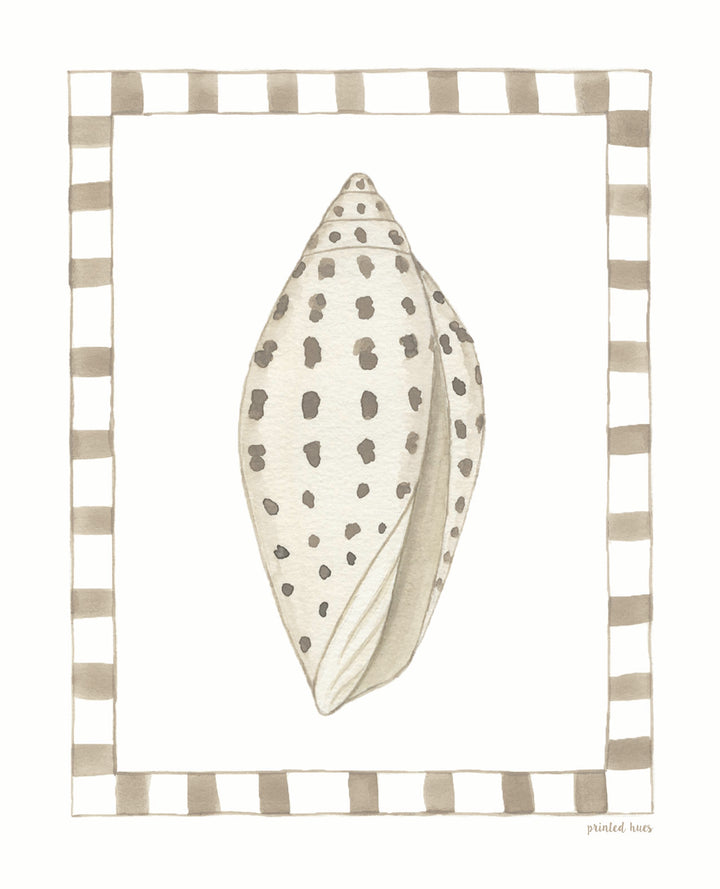 Junonia Shell Print