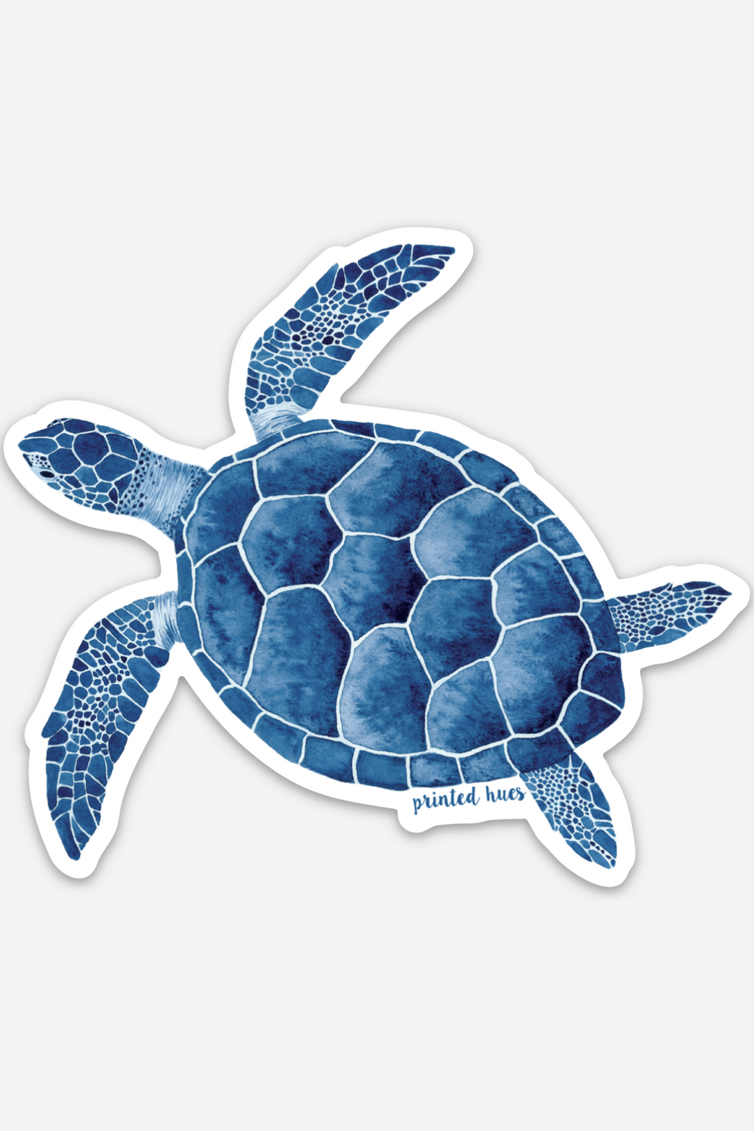 Sea Turtle Sticker