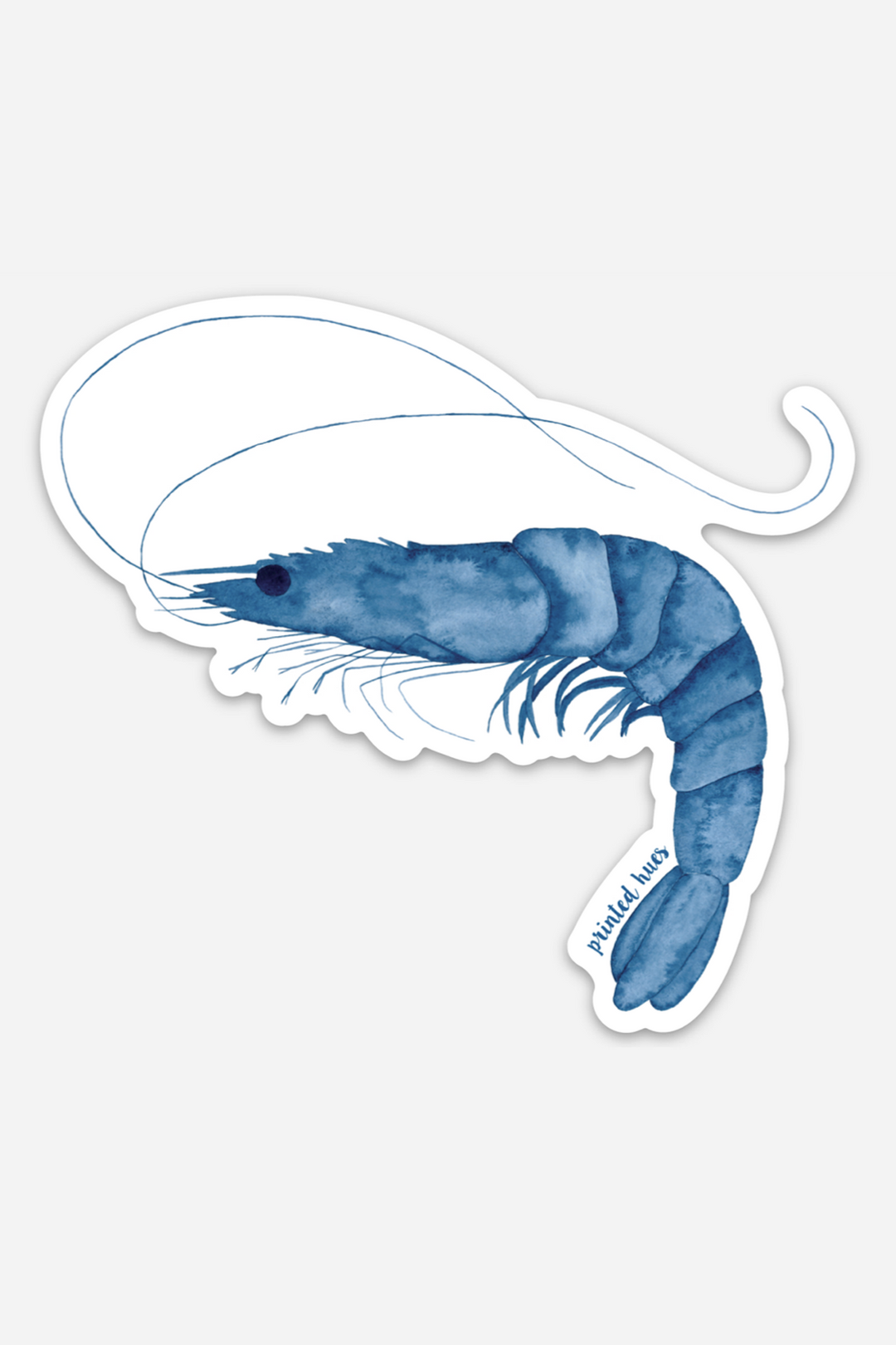 Shrimp Sticker