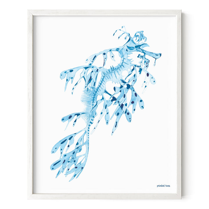 Leafy Sea Dragon Print
