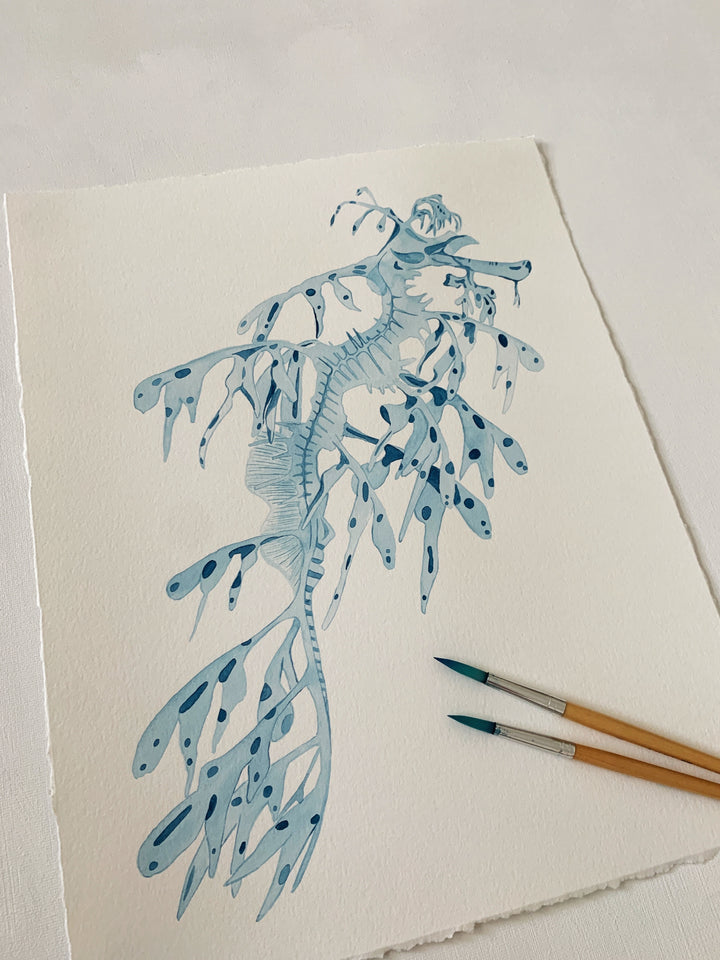 Leafy Sea Dragon Original