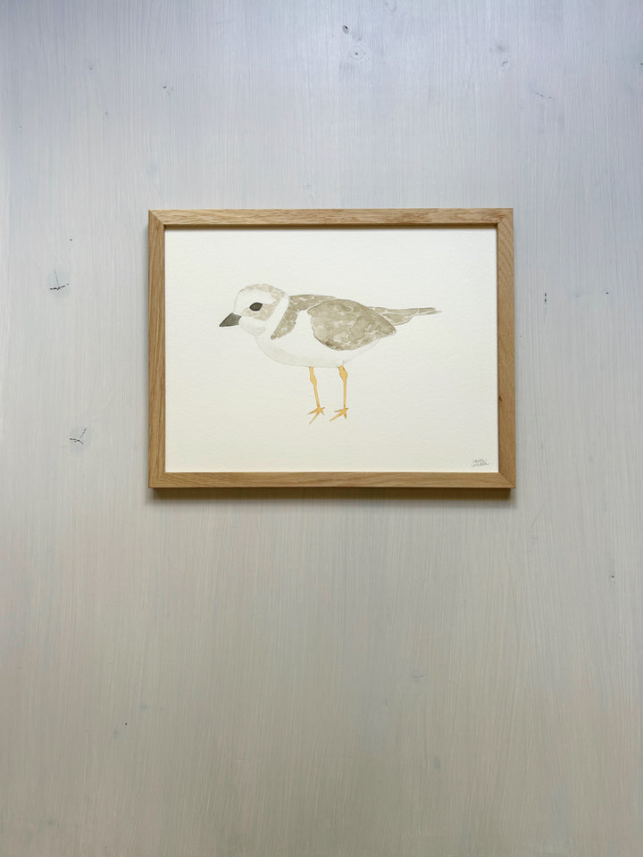 Piping Plover Original Watercolor