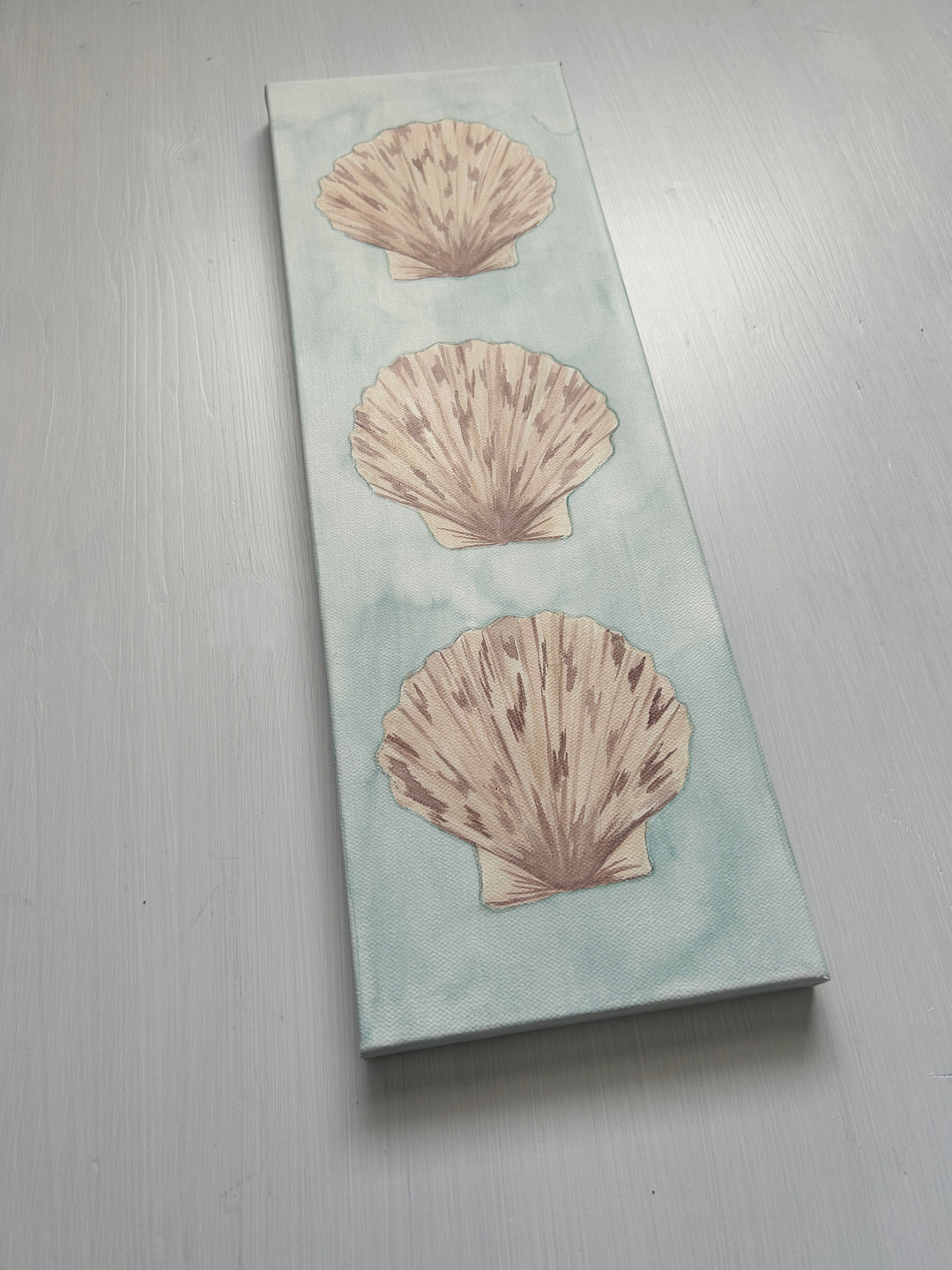 Scallop Trio Original on Canvas