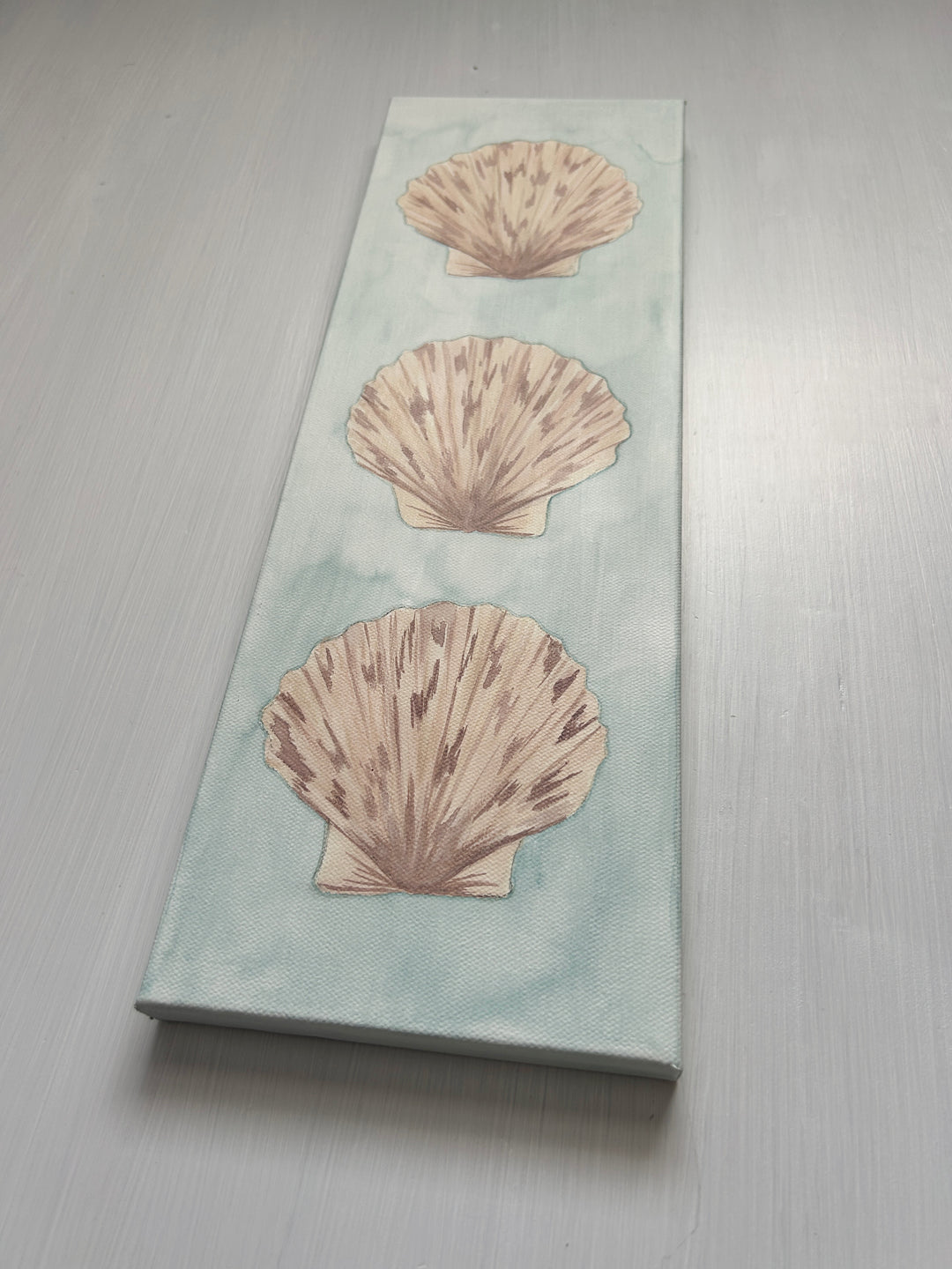 Scallop Trio Original on Canvas