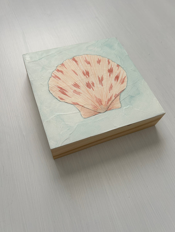 Scallop Shell No. 3 Original