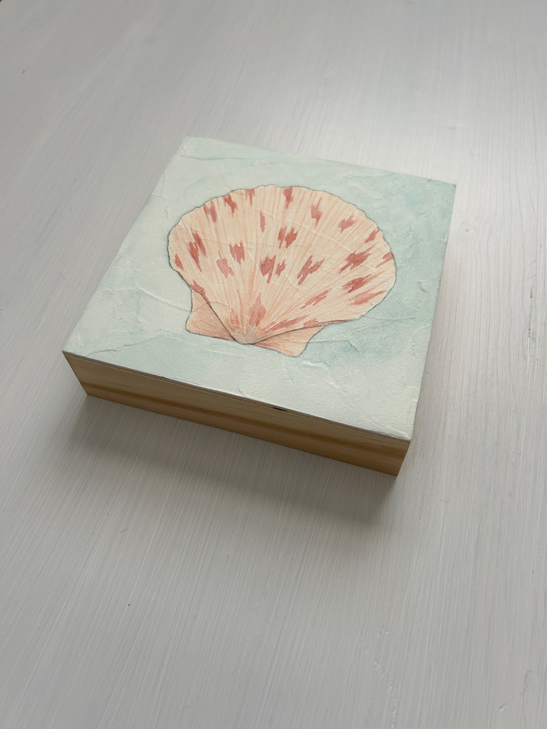 Scallop Shell No. 3 Original