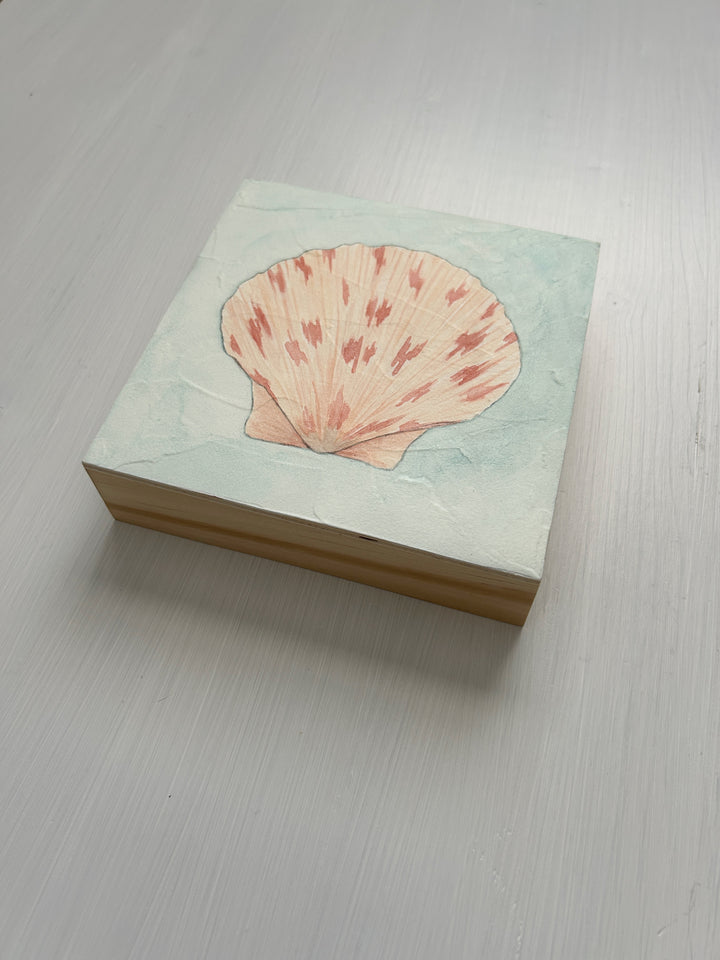 Scallop Shell No. 3 Original