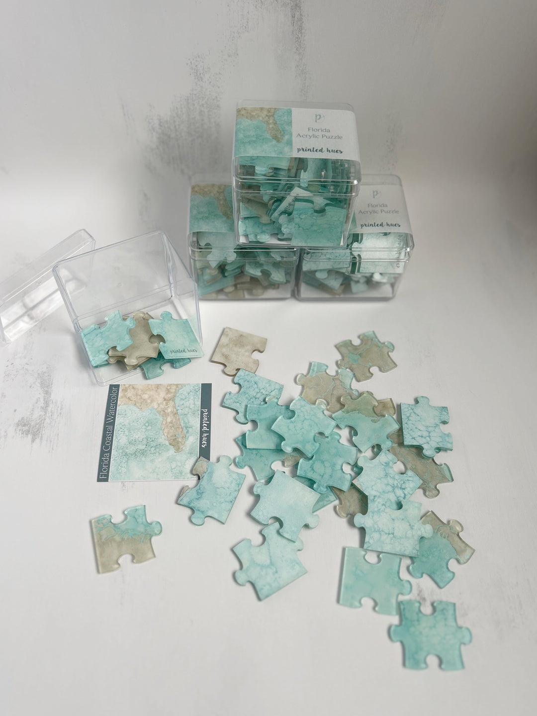 Florida Watercolor Acrylic Puzzle
