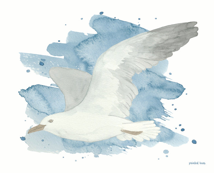 Seagull Print