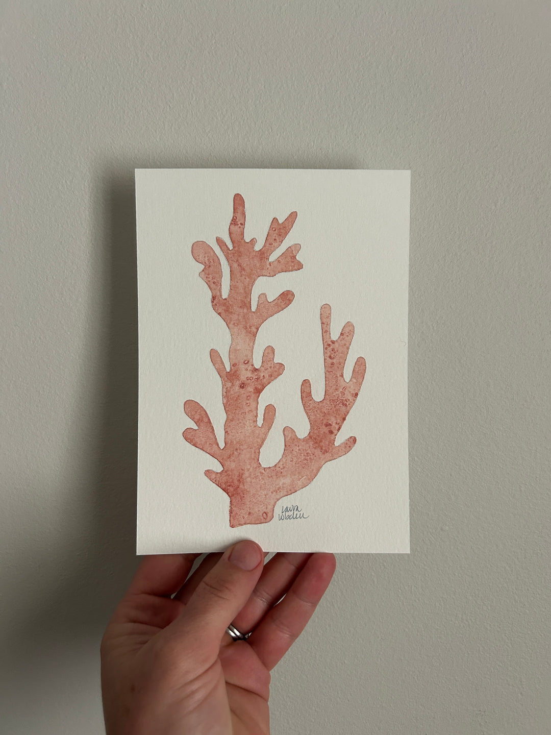 Flash Sale - Coral No. 2