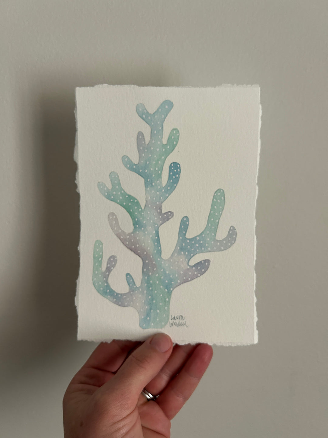 Flash Sale - Coral No. 3