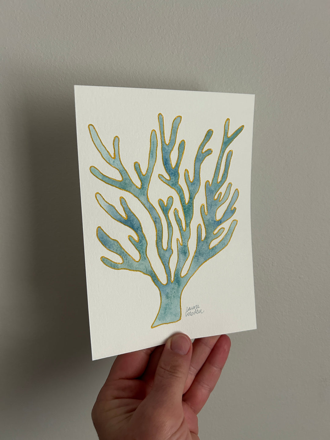Flash Sale - Coral No. 3