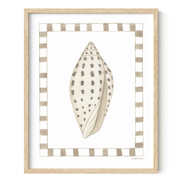 Junonia Shell Print