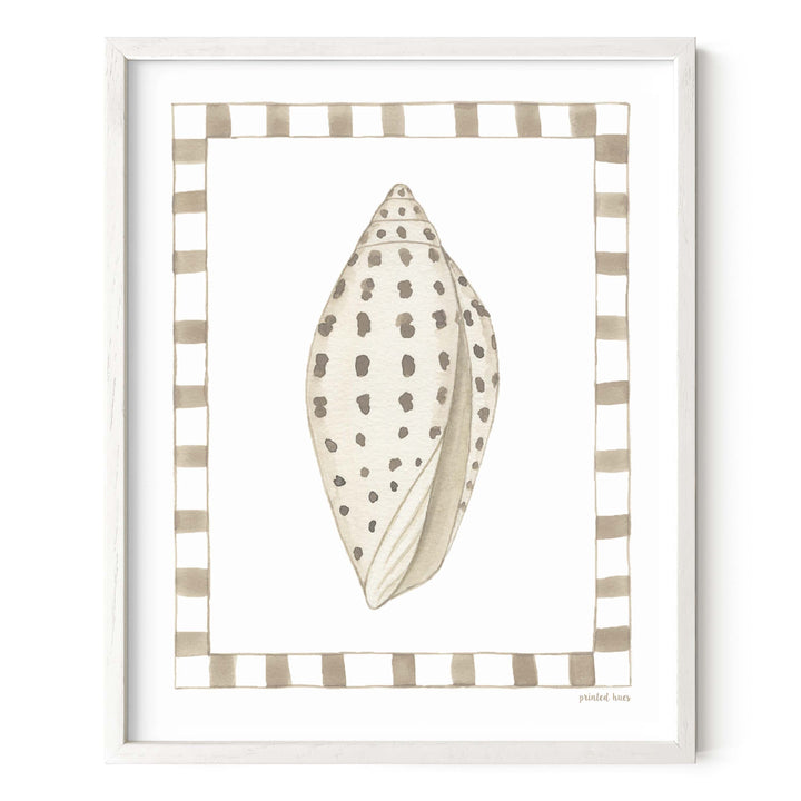 Junonia Shell Print