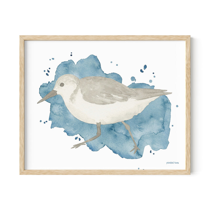 Sandpiper Print