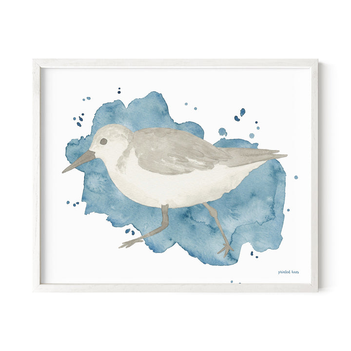 Sandpiper Print