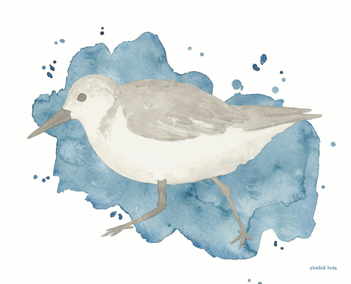 Sandpiper Print