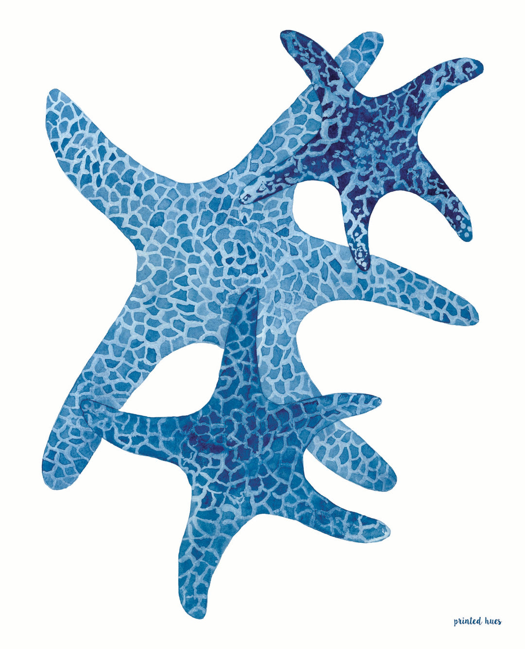 Sea Star Trio Print