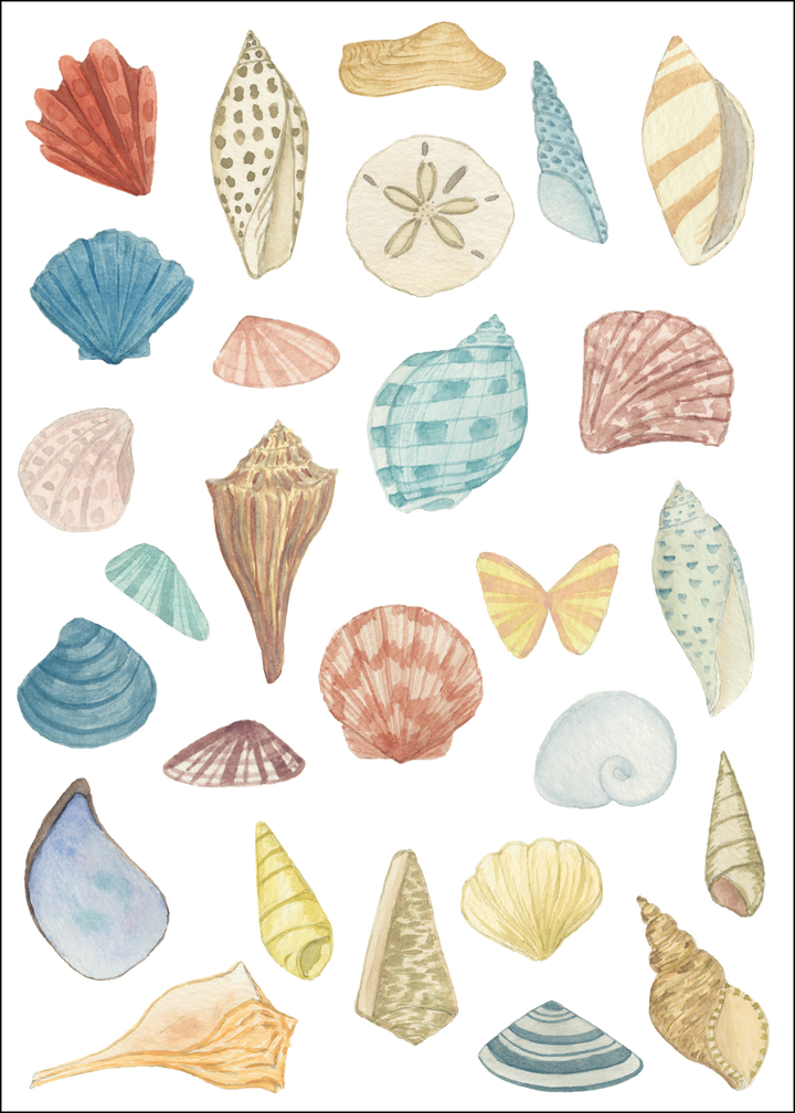 Shells Designer Decals