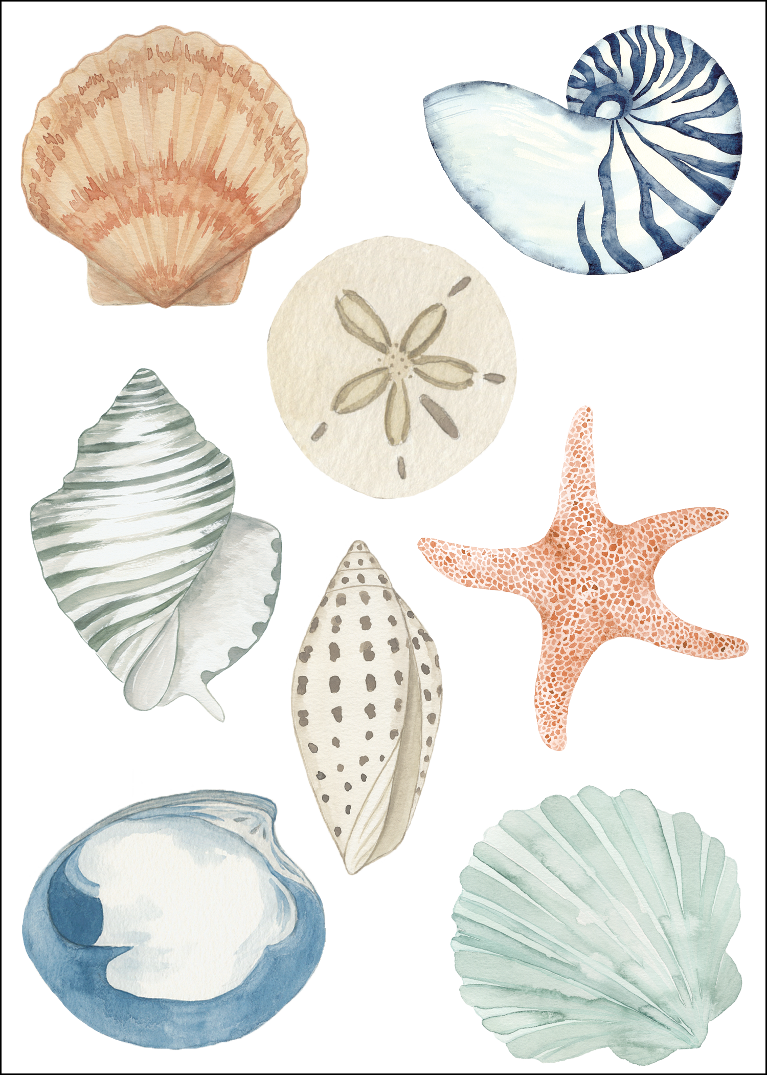 Large Shells Designer Decals – Printed Hues
