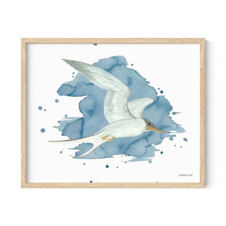 Tern Print