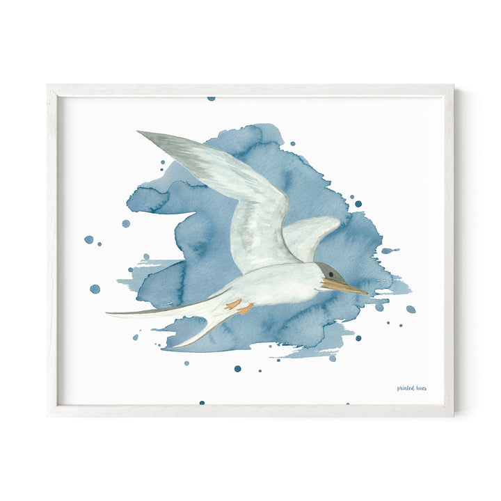 Tern Print