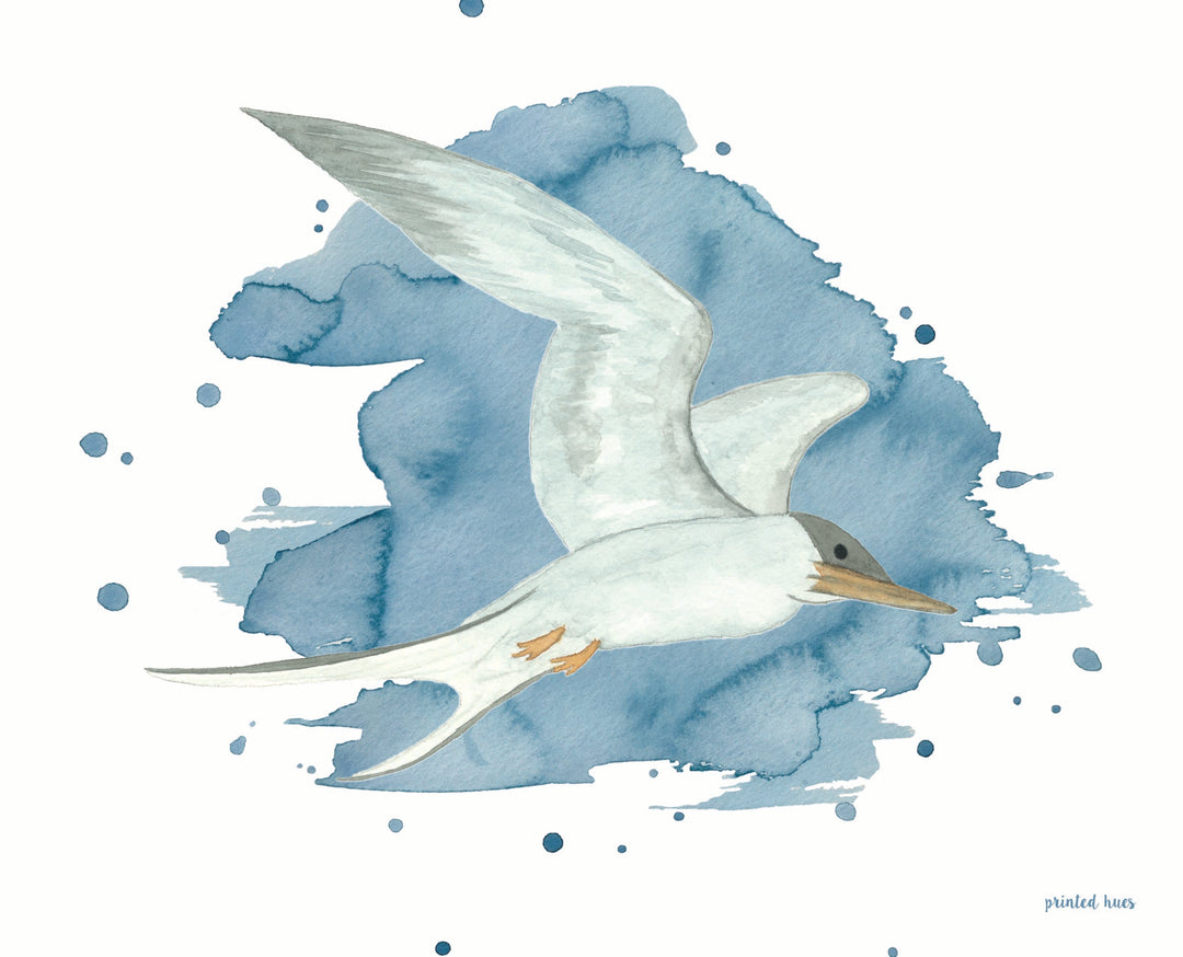 Tern Print