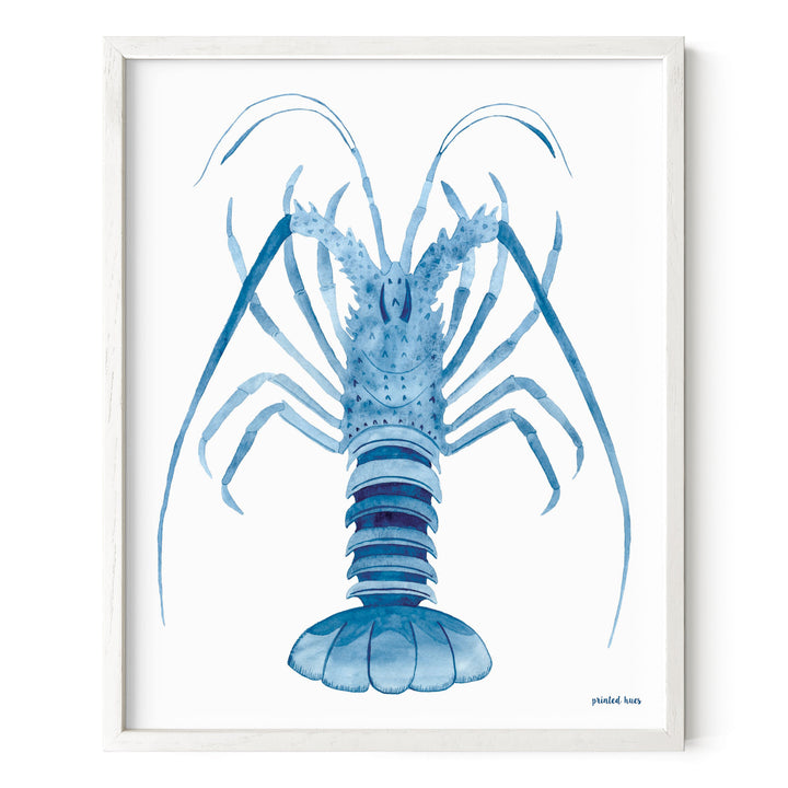 Spiny Lobster Print