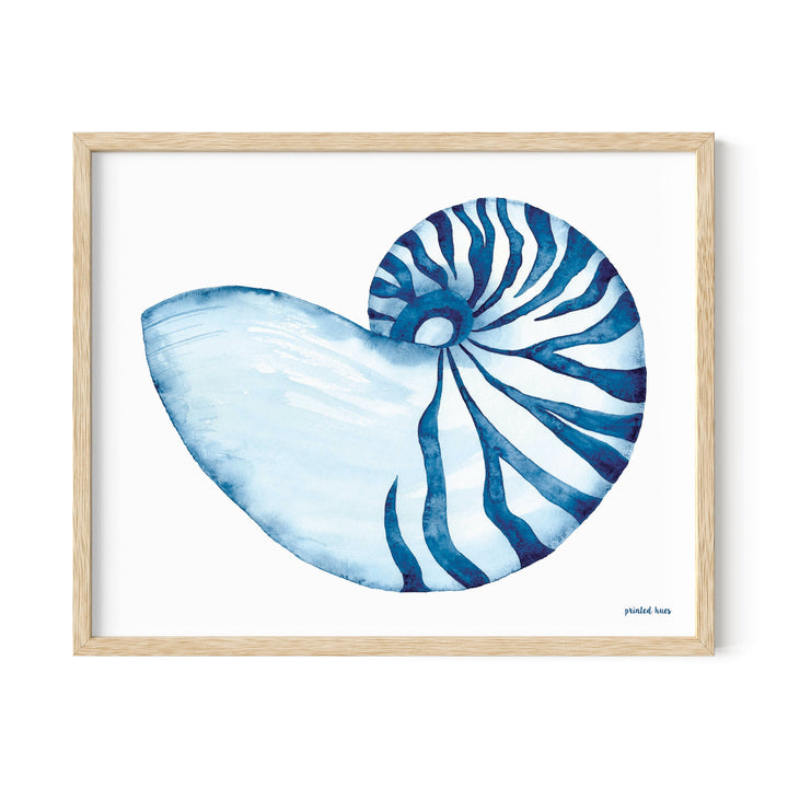 Nautilus Shell Print