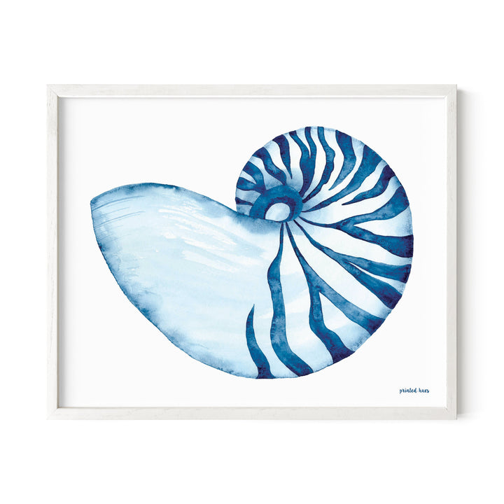 Nautilus Shell Print