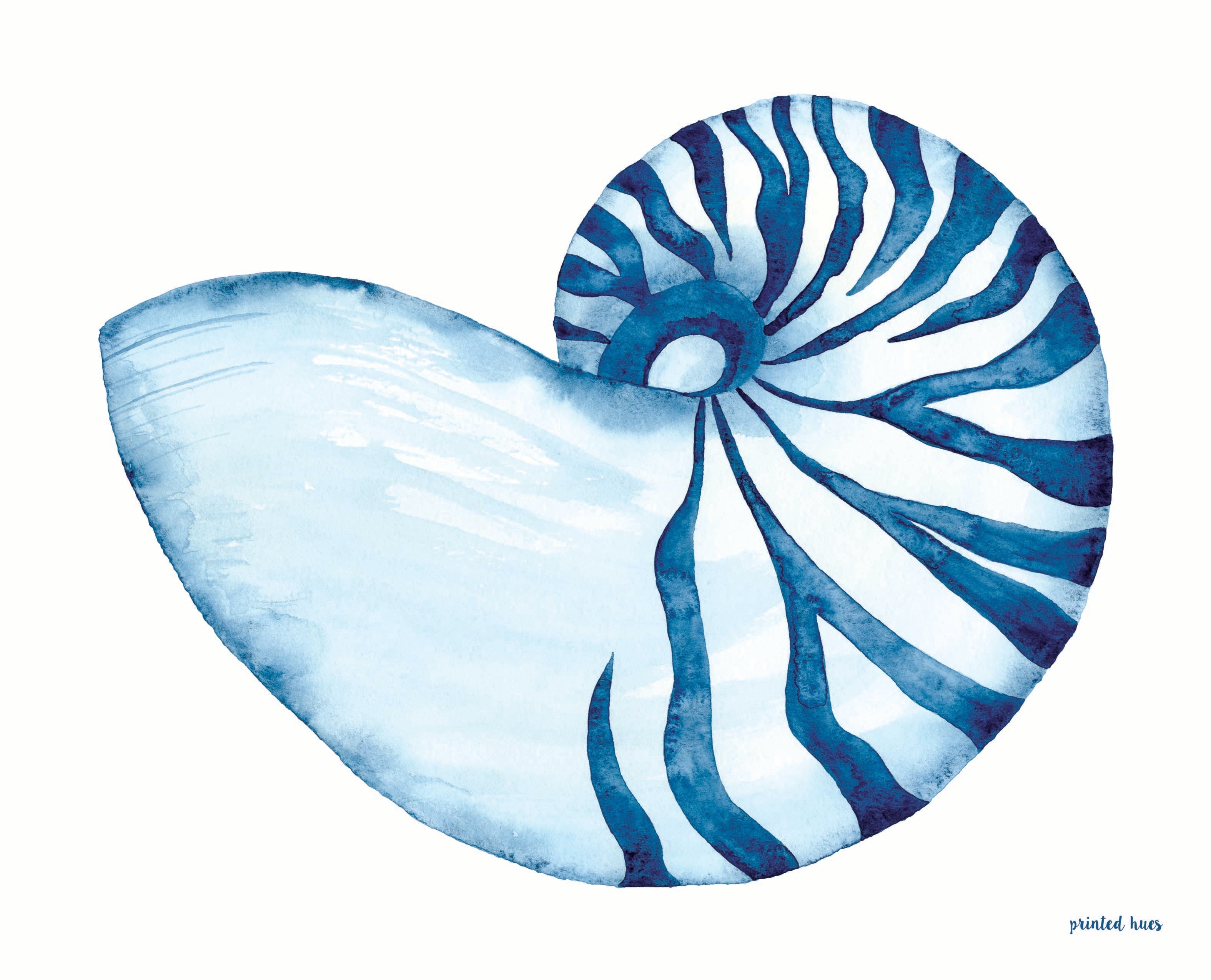 Illustration Giclée Print sold - Nautilus | 30x40cm