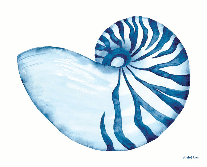 Nautilus Shell Print