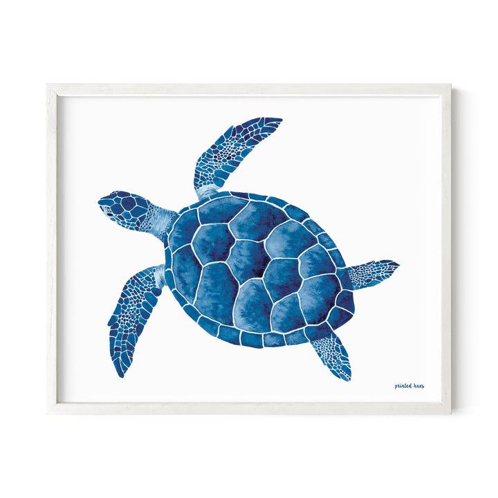 Sea Turtle Print